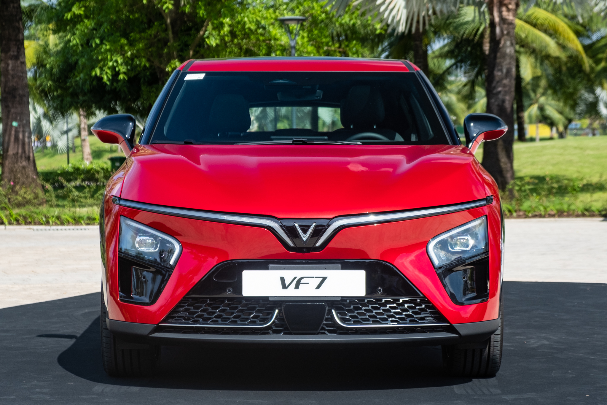 VF7 Gallery 24